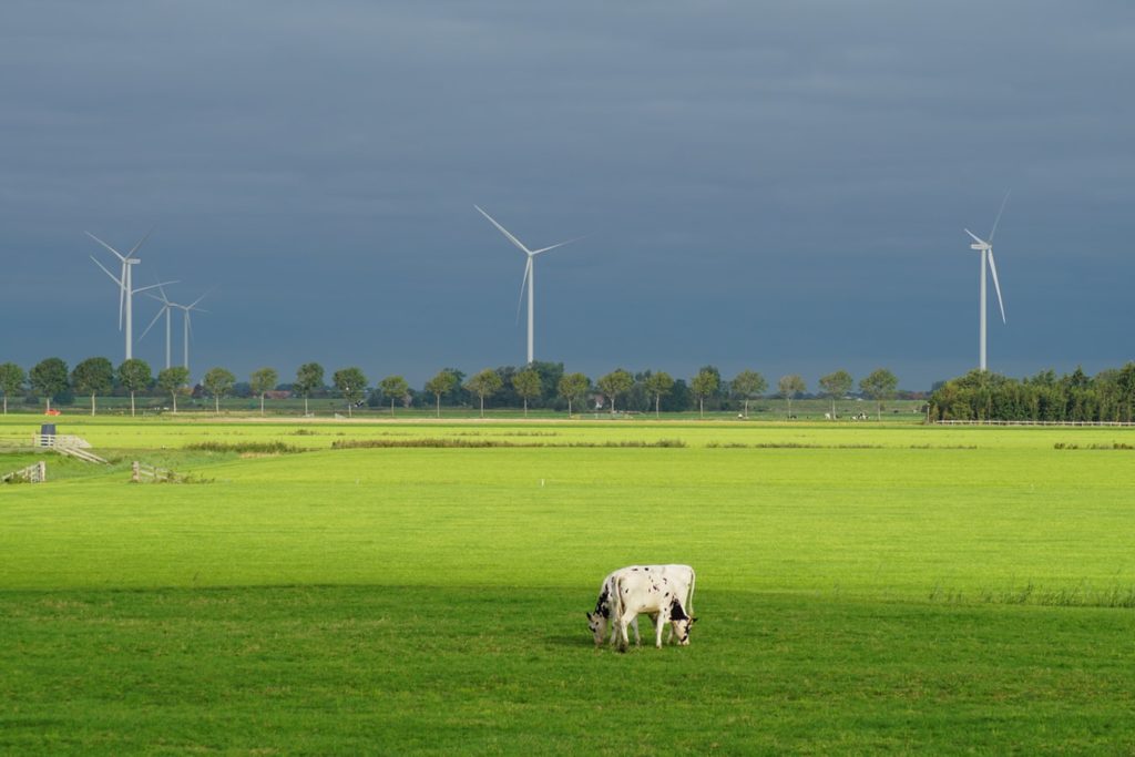 Hoe de nederlandse wind u helpt energiekosten besparen