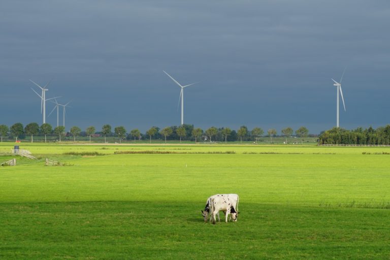 Hoe de nederlandse wind u helpt energiekosten besparen